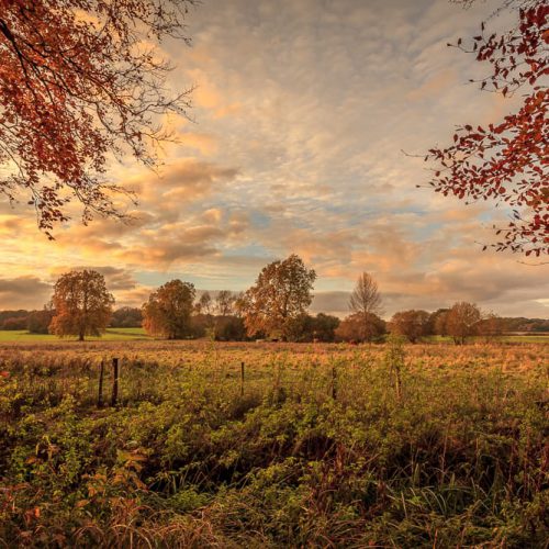Autumn in Hampshire