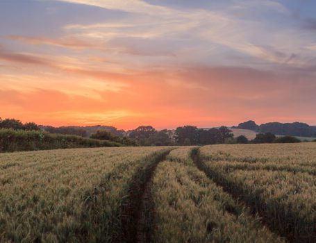 Sunset over rural Hampshire